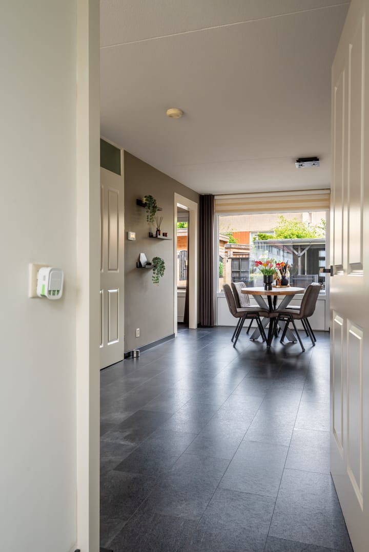 Foto 6 van Pallieterplein 111