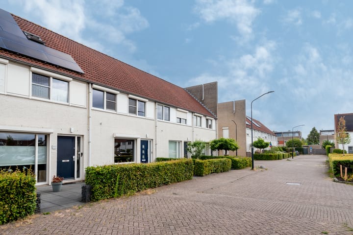 Foto 38 van Pallieterplein 111