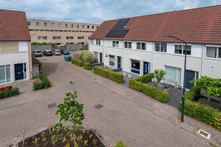 Foto 46 van Pallieterplein 111