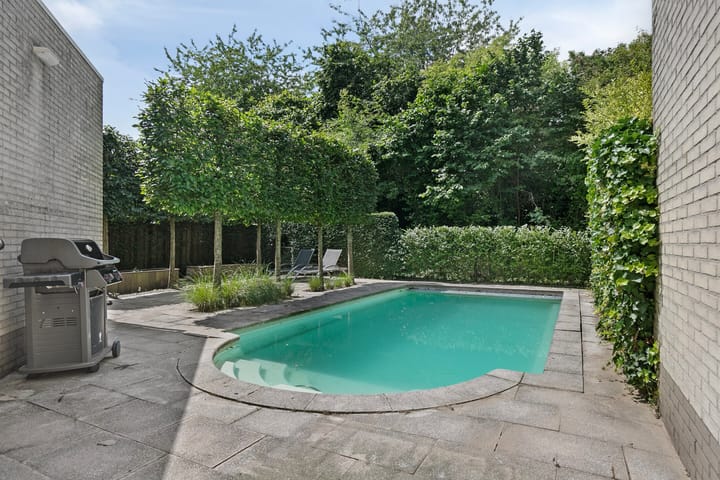 Foto 3 van Krachtenveld 18