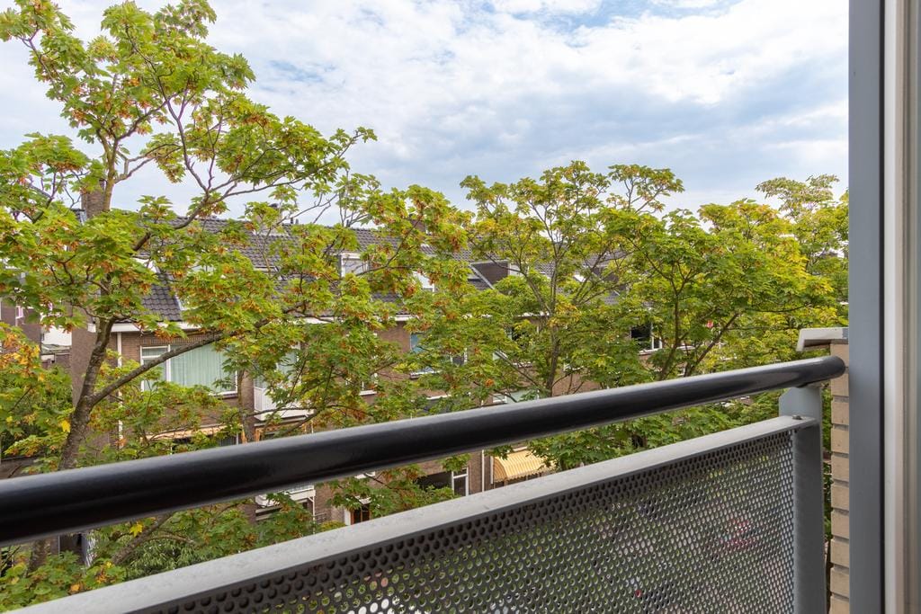 Foto 23 van Amalia van Solmsstraat 1-D