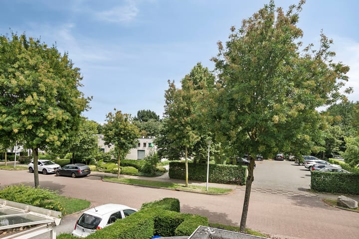 Foto 29 van Krachtenveld 18