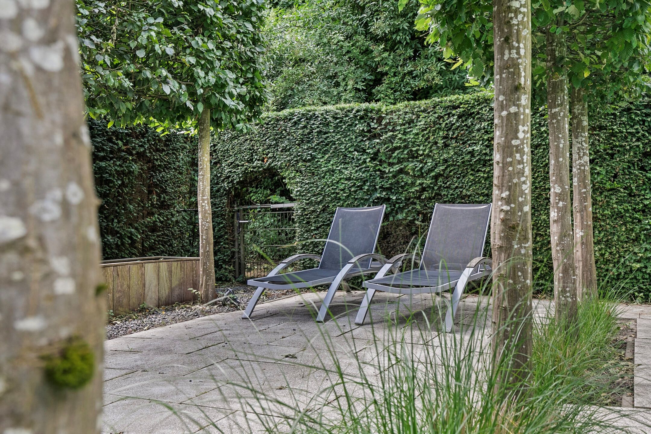 Foto 30 van Krachtenveld 18