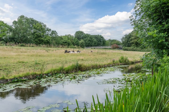 Foto 41 van Botdrager 9