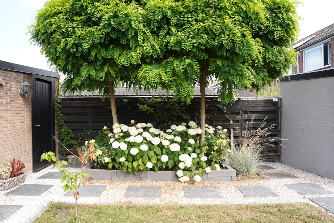 Foto 28 van Damstraat 4