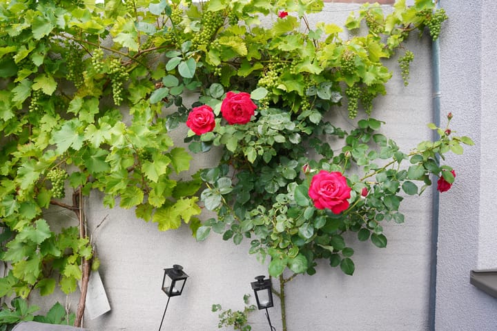 Foto 35 van Damstraat 4