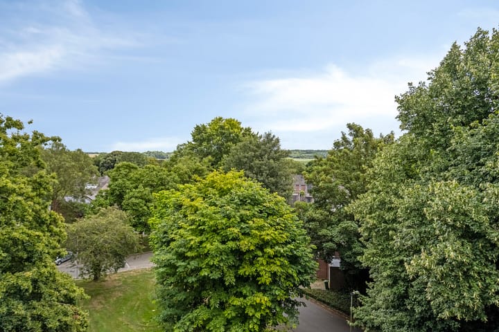 Photo 28 of Roserije 245-D