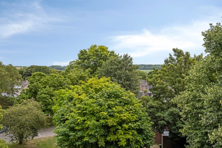 Photo 29 of Roserije 245-D