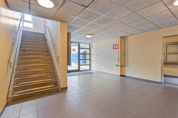 Photo 31 of Roserije 245-D