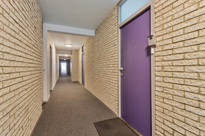 Photo 33 of Roserije 245-D