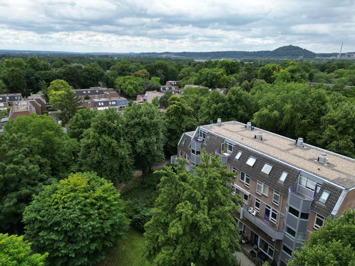 Photo 40 of Roserije 245-D