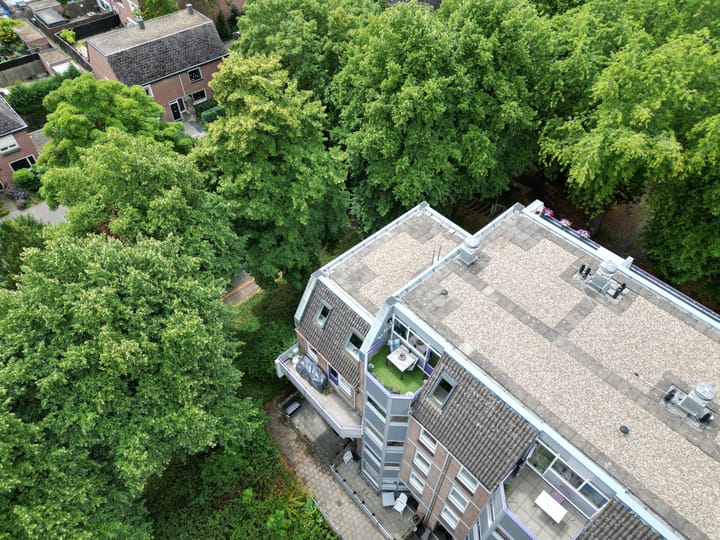 Photo 41 of Roserije 245-D