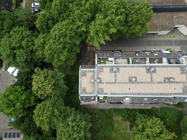 Photo 42 of Roserije 245-D