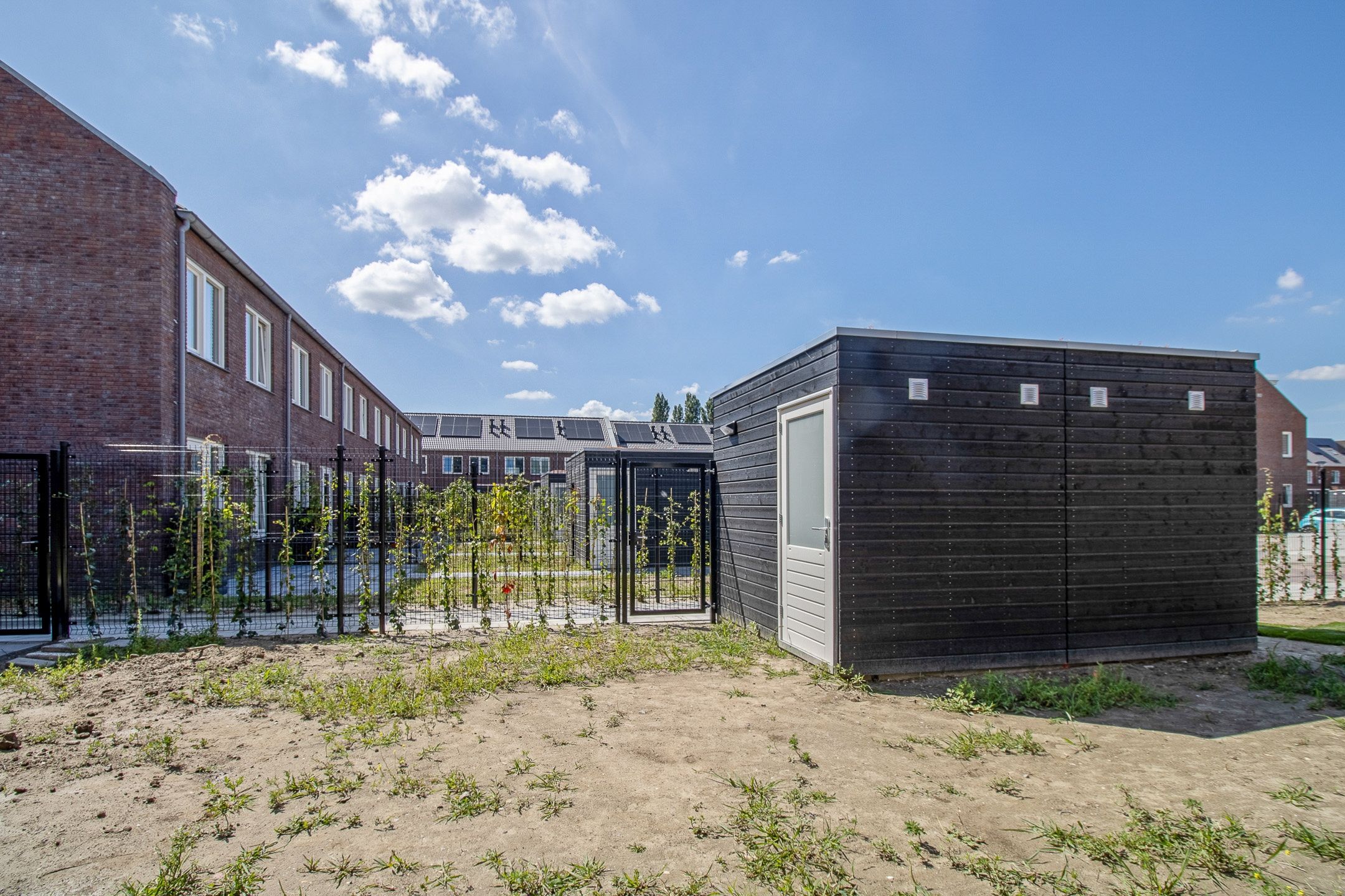 Foto 12 van Hendrik Triplaan-Noord 3