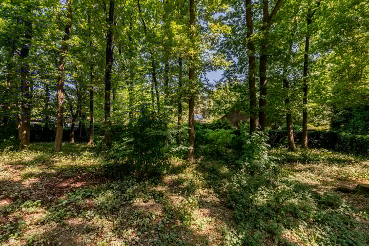 Foto 37 van Uilenpad 5