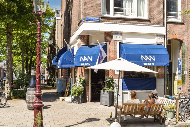 Foto 33 van De Lairessestraat 110-3