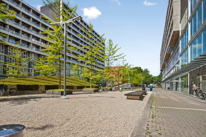 Foto 33 van Professor de Moorplein 551