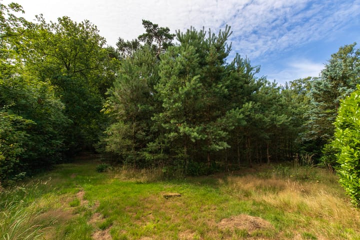 Foto 64 van Abdijlaan 31