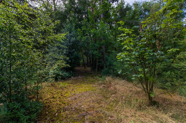 Foto 65 van Abdijlaan 31