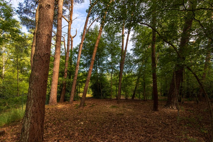 Foto 66 van Abdijlaan 31