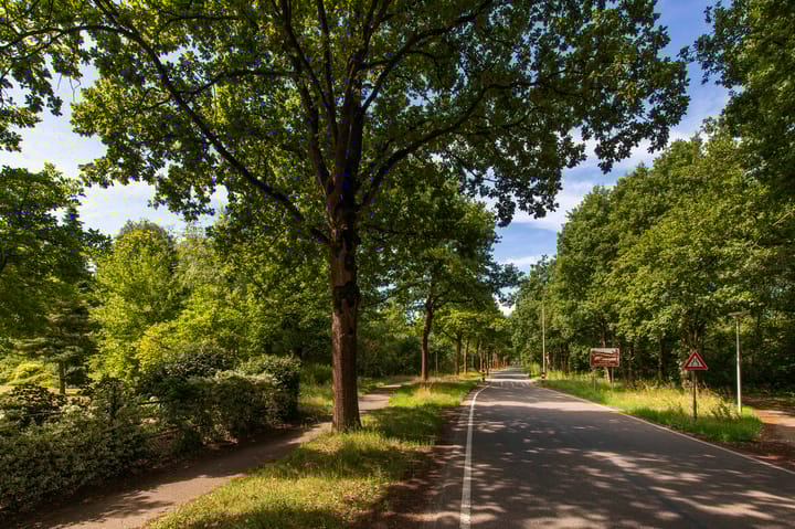 Foto 73 van Abdijlaan 31