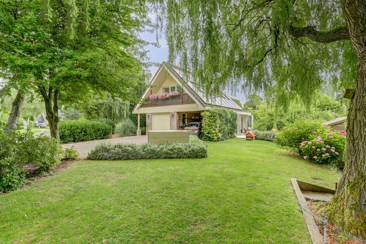 Aalscholver 5 main image