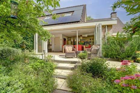 Aalscholver 5 secondary image