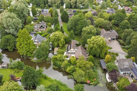 Aalscholver 5 tertiary image