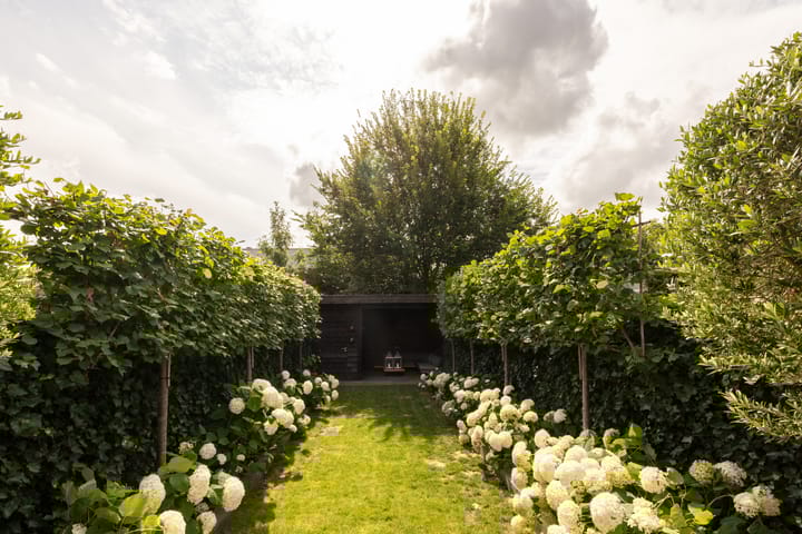 Foto 3 van Lijnderdijk 10