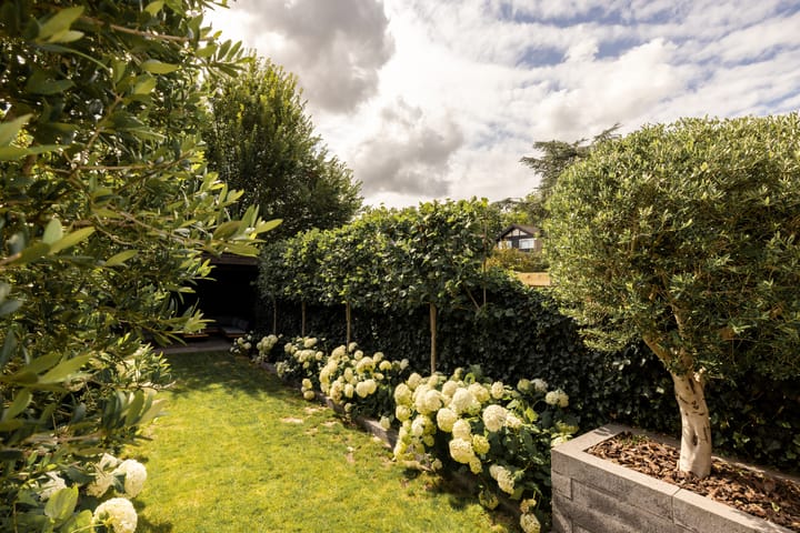 Foto 16 van Lijnderdijk 10