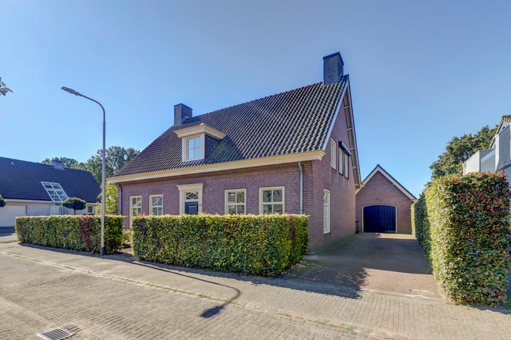 undefined main image
