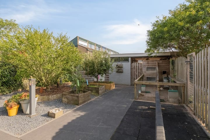 Foto 11 van Halve Morgen 85