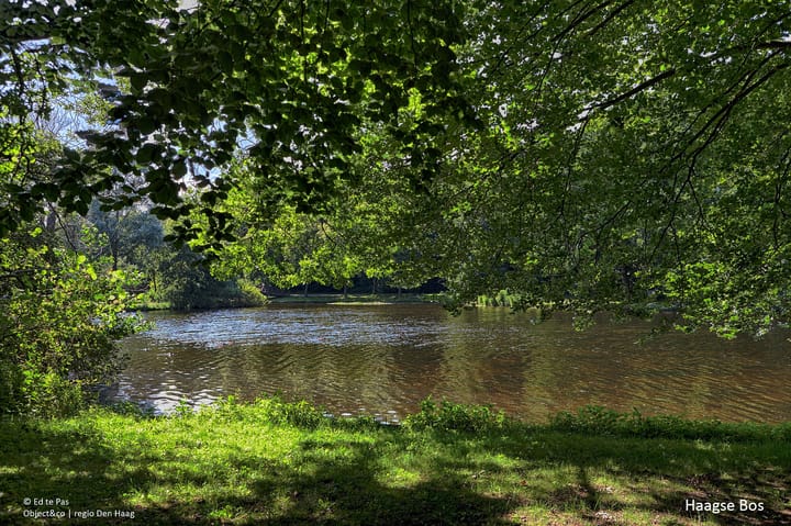 Foto 47 van Ursulaland 85