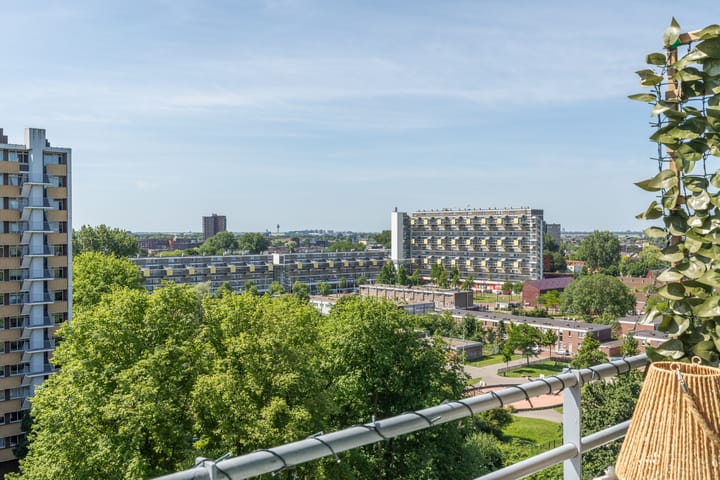 Foto 21 van Langswater 753