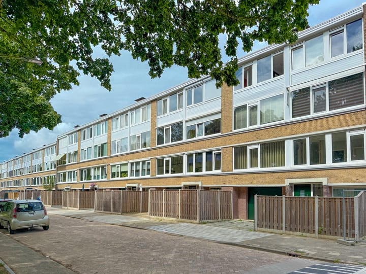 Ruwaardlaan 100
