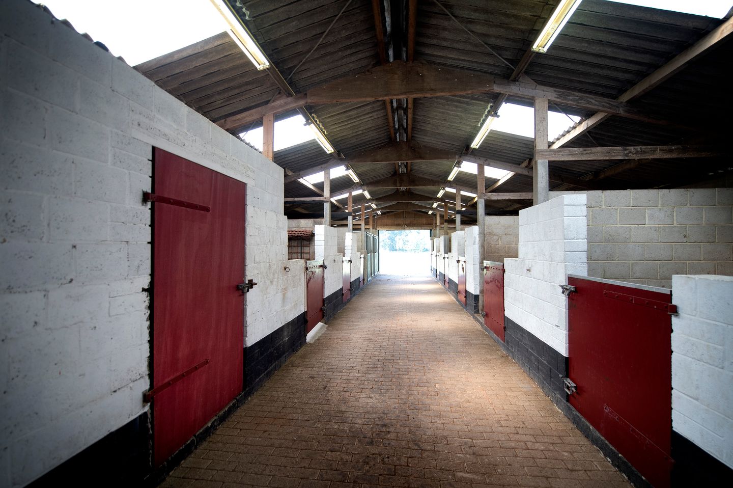 Foto 35 van Reeweg 74