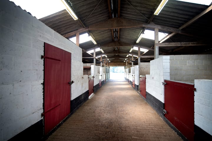 Foto 35 van Reeweg 74