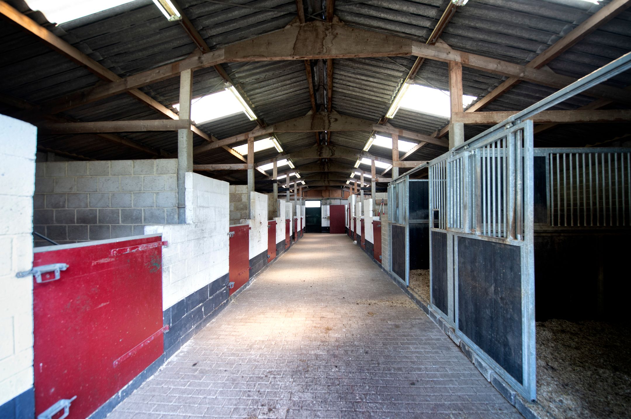 Foto 36 van Reeweg 74