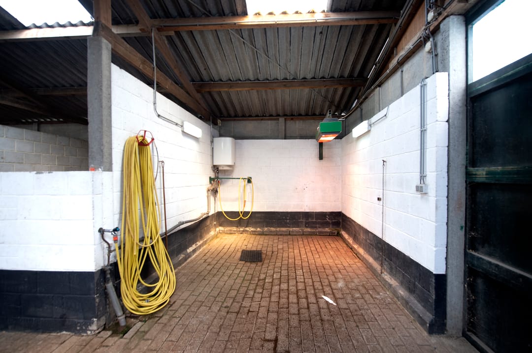 Foto 37 van Reeweg 74