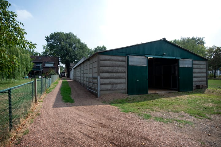 Foto 39 van Reeweg 74