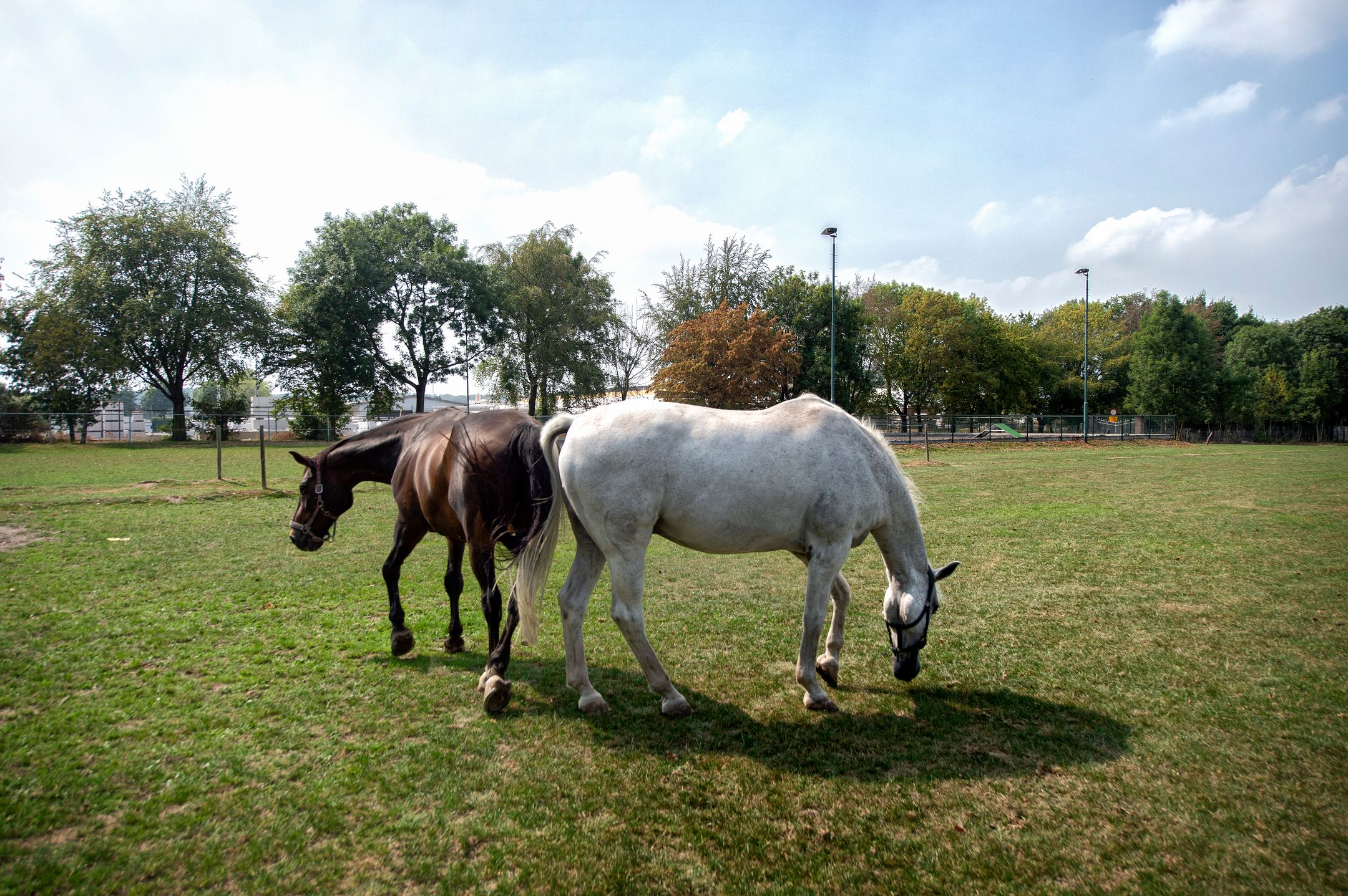 Foto 42 van Reeweg 74