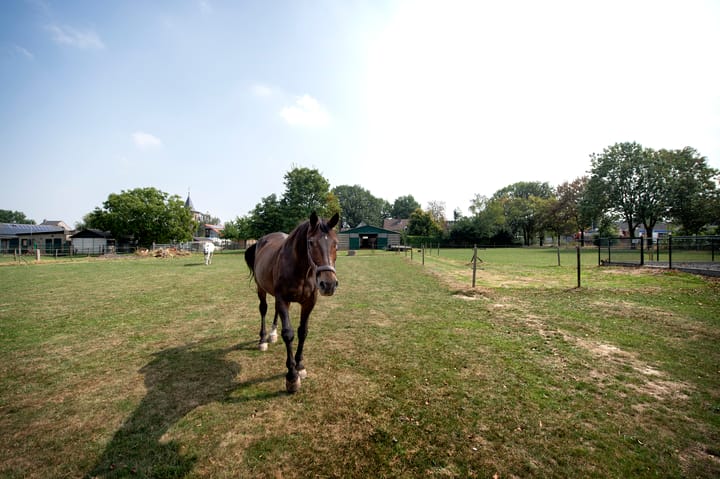 Foto 44 van Reeweg 74