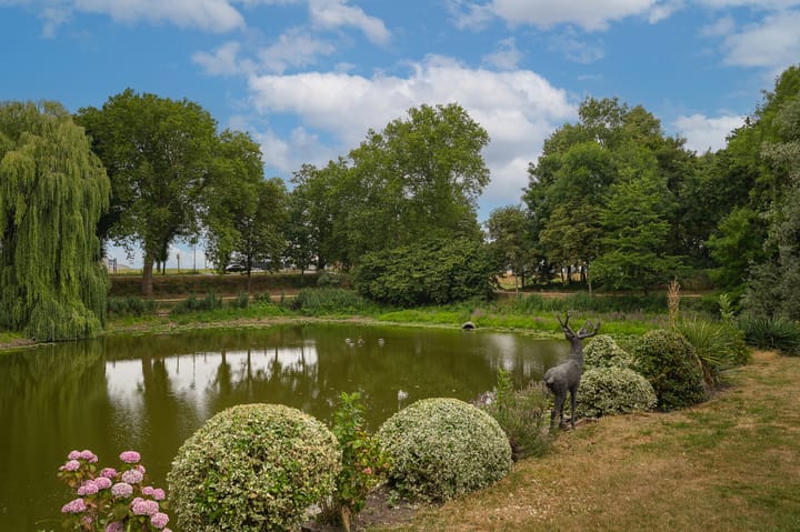 Foto 23 van Marten van Rossemsingel 98