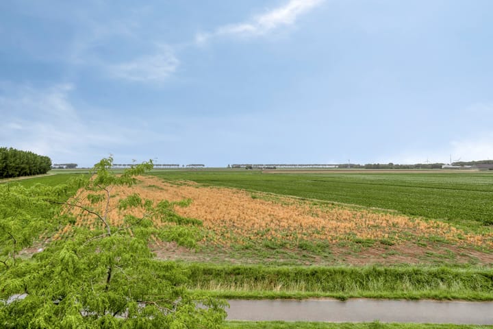 Foto 31 van Ed Hoornikpad 12