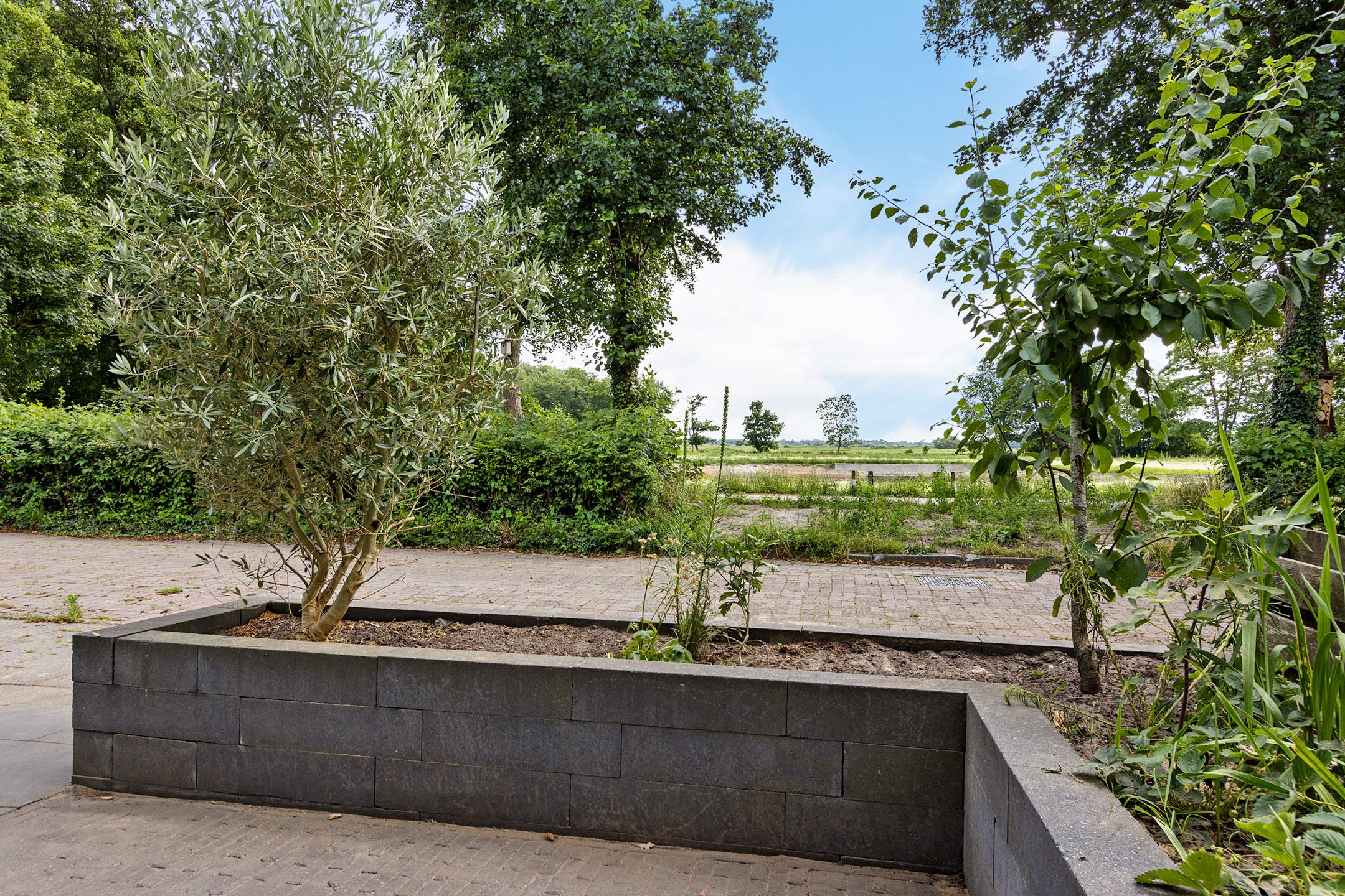 Foto 39 van Ulbe van Houtenstrjitte 88