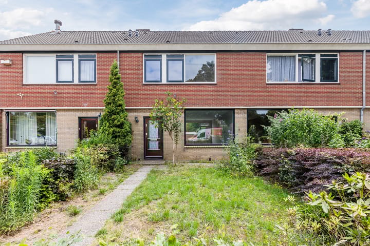 Foto 1 van Treubstraat 66