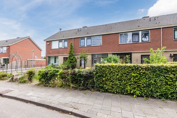 Foto 3 van Treubstraat 66