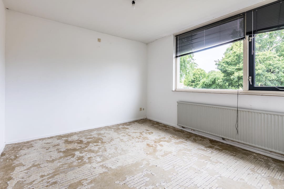 Foto 16 van Treubstraat 66