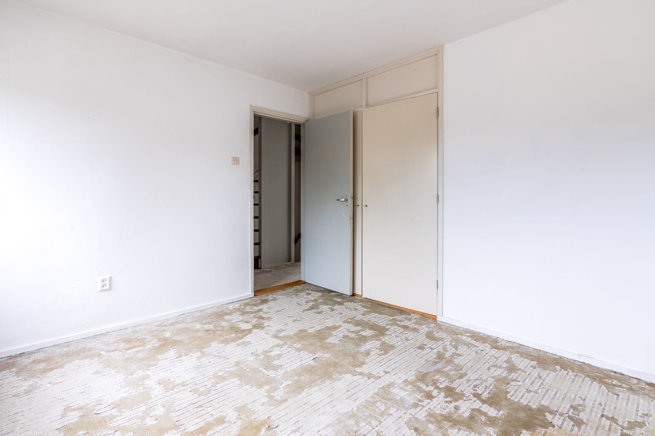 Foto 18 van Treubstraat 66