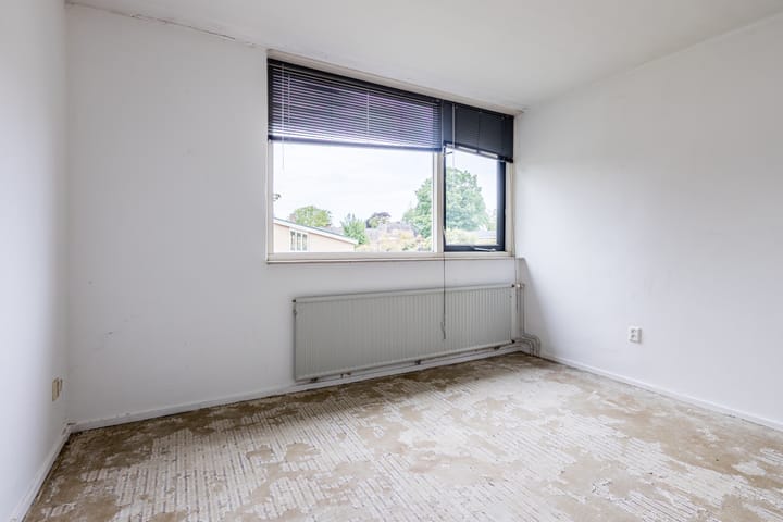 Foto 19 van Treubstraat 66